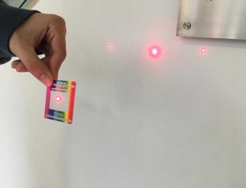 Visita alunos 11º ano – Madeira Torres